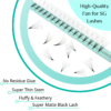 8D Large Tray Pointy Base Premade Volume Fans 320 Fans 16 Lines 8MM-15MM Mixed - Image 4